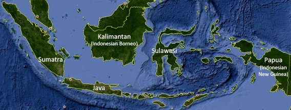 indonesia-sumatra-peligro-deforestacion-aceite-de-palma
