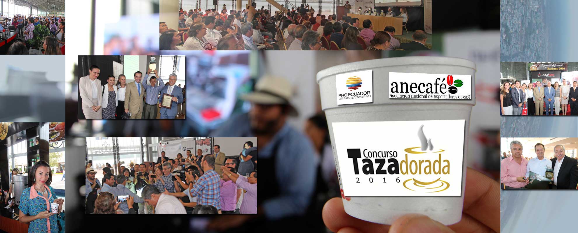 TAZA DORADA 2016 hace Historia, la excelencia del café ecuatoriano